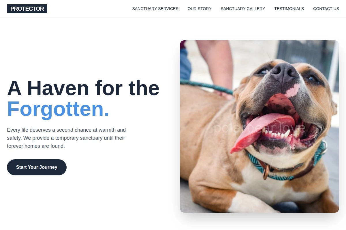 Protector Animal Shelter